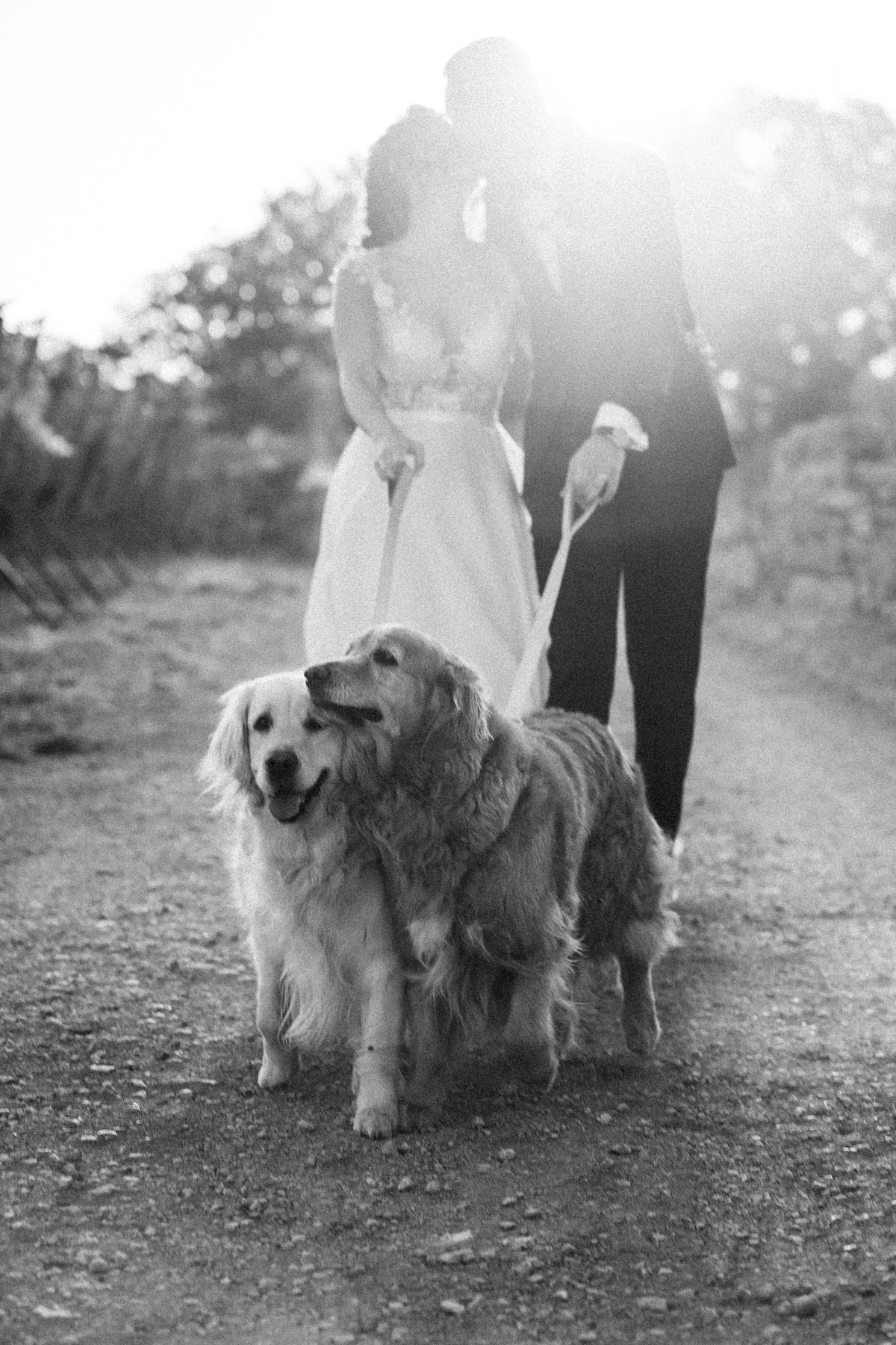 Giulia & Andrea — foto 12