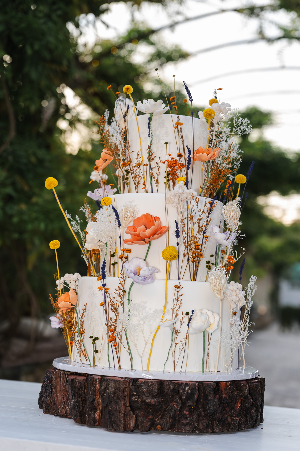Samuela & Fabio — foto 17