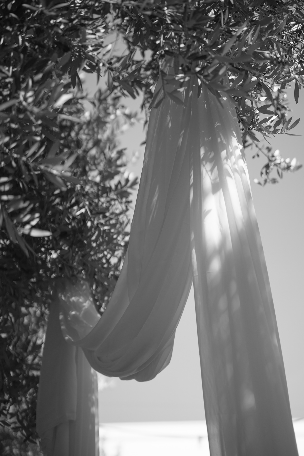 Selina & Matthew — photo 11