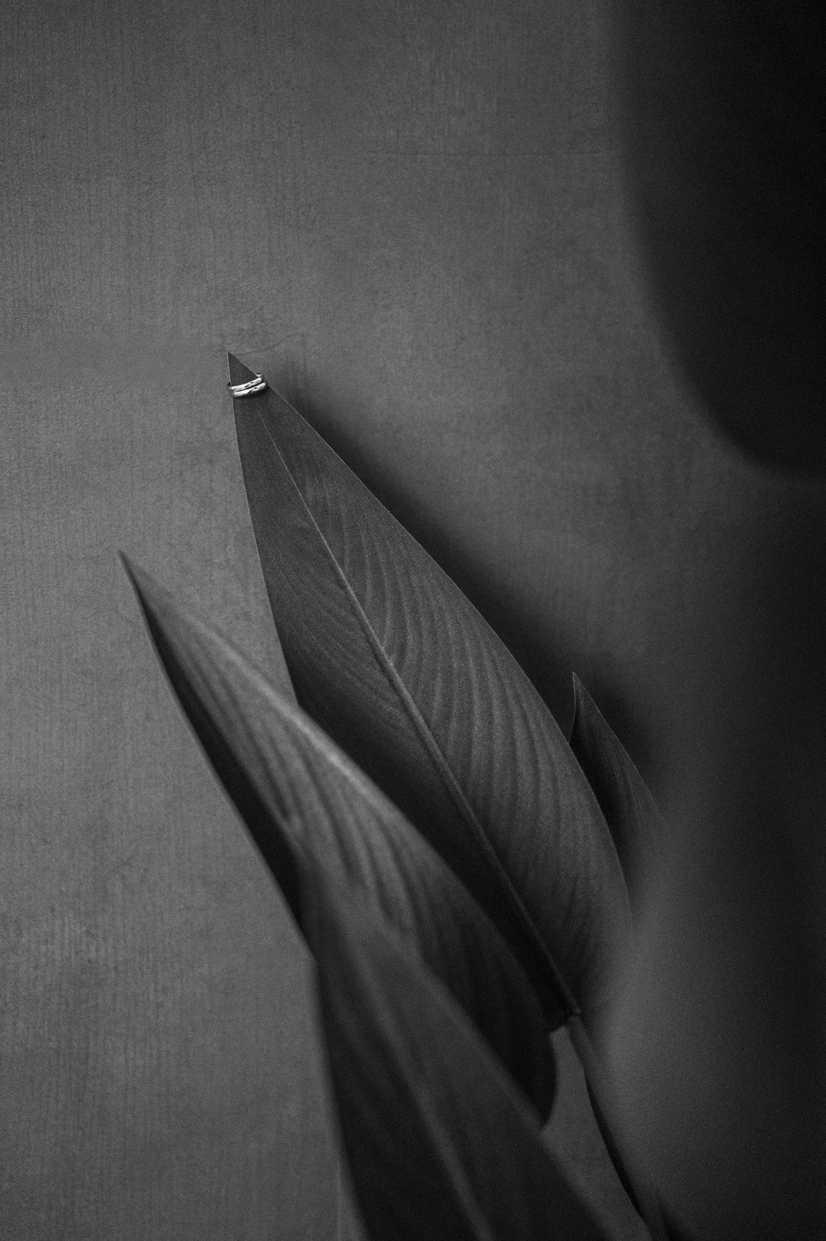 Simona & Carmine — foto 1